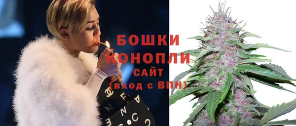стаф Дмитровск