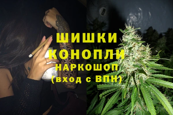 стаф Дмитровск