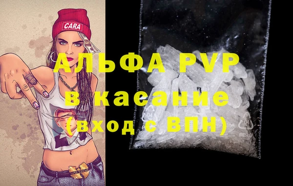 стаф Дмитровск