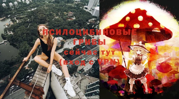 каннабис Дмитриев