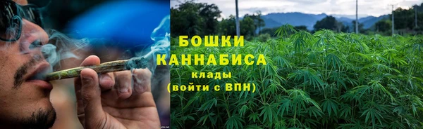 стаф Дмитровск