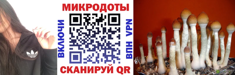 Купить  Кирсанов  Галлюциногенные грибы MAGIC MUSHROOMS 